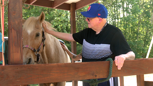 ‘We see an increase in joy’: New study looks at effectiveness of horses on dementia patients